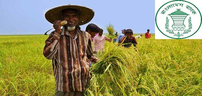 কৃষি ঋণ